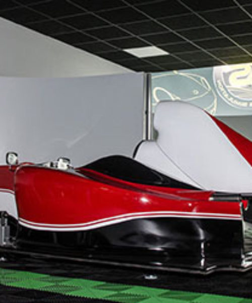 concepts professionnel simulateur f1