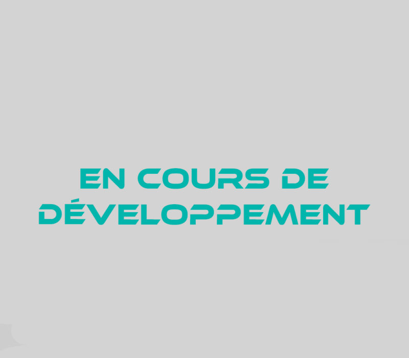 simu lsx statique et dynamique r2